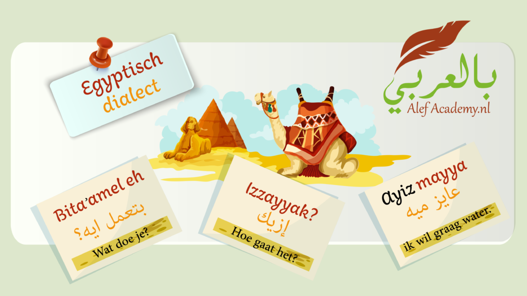 Verschil tussen Standaard Arabisch en Egyptisch dialect bij Alef Academy.